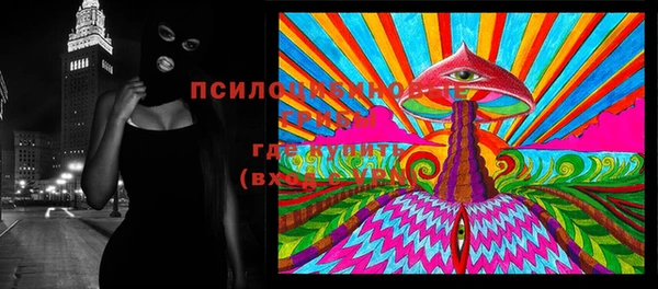 ПСИЛОЦИБИНОВЫЕ ГРИБЫ Алексеевка