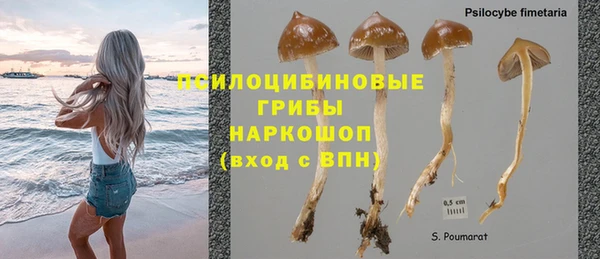 ПСИЛОЦИБИНОВЫЕ ГРИБЫ Алексеевка