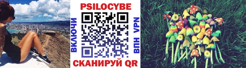 Галлюциногенные грибы прущие грибы Гуково