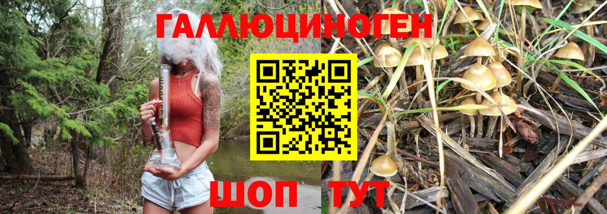 Гуково  Галлюциногенные грибы MAGIC MUSHROOMS  Вход с VPN 