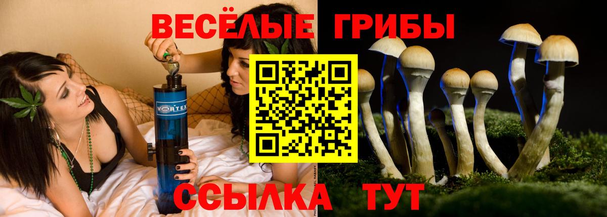 Галлюциногенные грибы мицелий Гуково